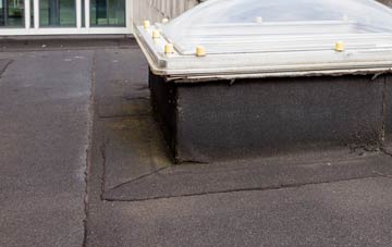 disadvantages of Rushy Green flat roofs